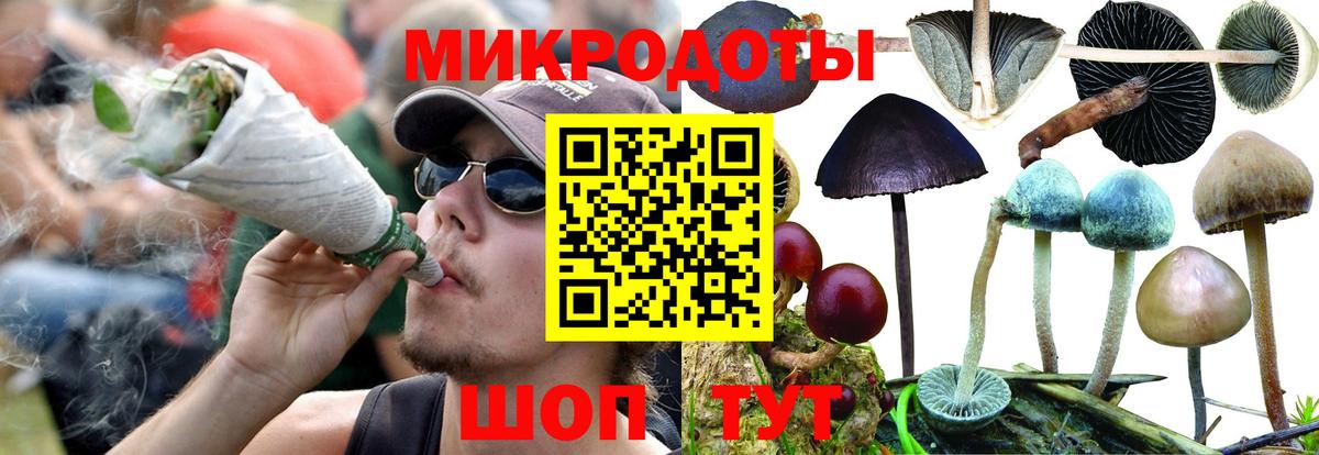 Галлюциногенные грибы мухоморы  Псилоцибиновые грибы Psilocybe  Иркутск  Вход с VPN 